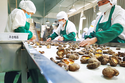 百興食品 風口搶'鮮'，預制菜香飄海內外